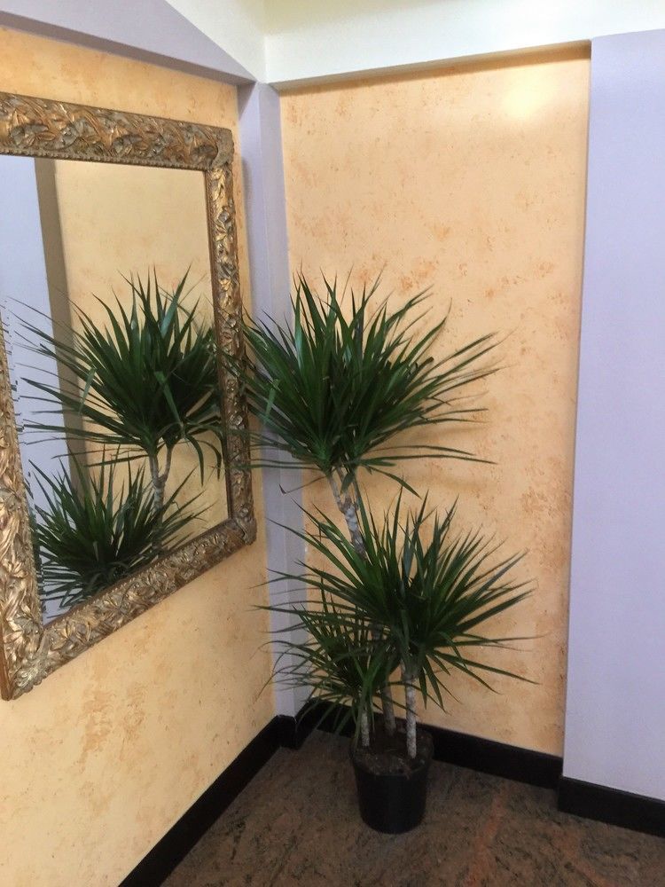 Hotel Marco Polo Self Check-In بولونيا المظهر الخارجي الصورة